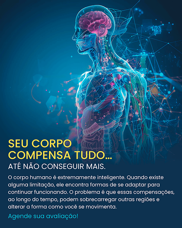 FISIO-29